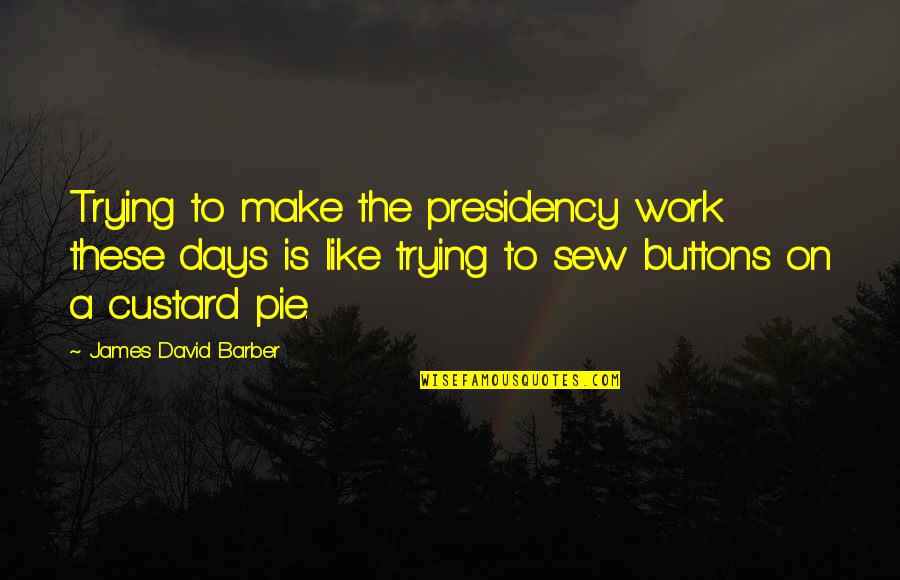 Bat Shaped Mask Quotes By James David Barber: Trying to make the presidency work these days Bat Shaped Mask Quotes By James David Barber: Trying to make the presidency work these days
