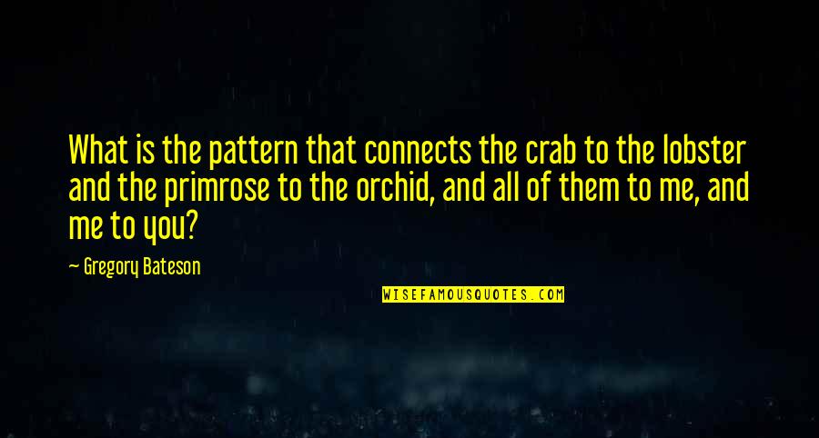 Bateson Quotes By Gregory Bateson: What is the pattern that connects the crab Bateson Quotes By Gregory Bateson: What is the pattern that connects the crab