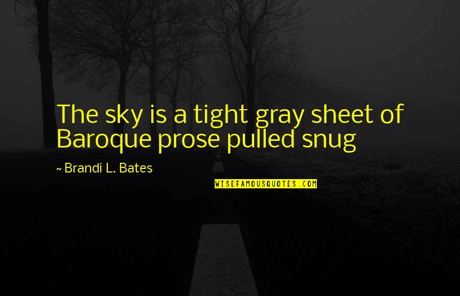 Bates's Quotes By Brandi L. Bates: The sky is a tight gray sheet of