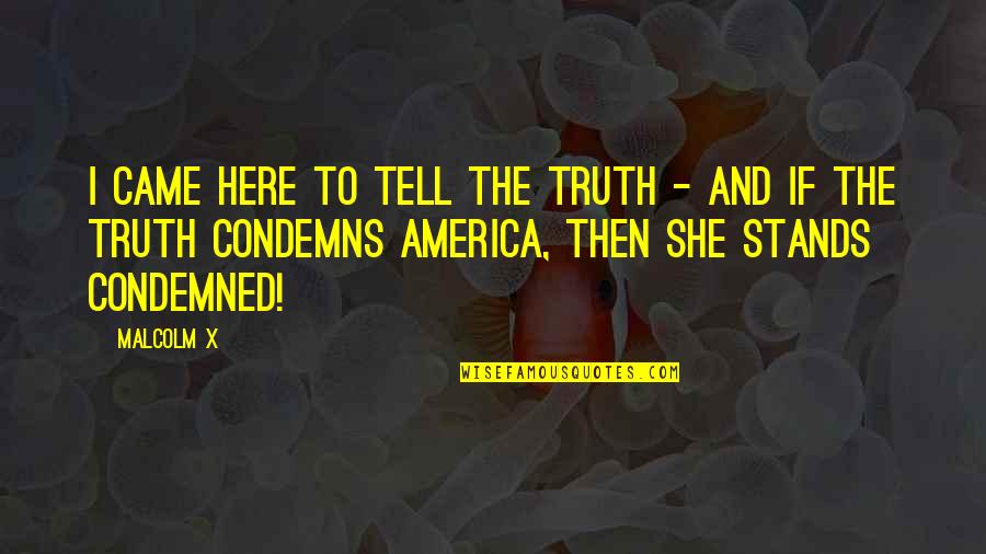 Bath Soak Quotes By Malcolm X: I came here to tell the truth -