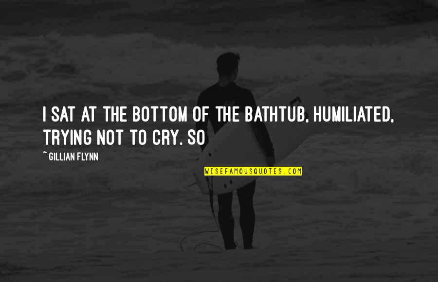 Bathtub Quotes By Gillian Flynn: I sat at the bottom of the bathtub,