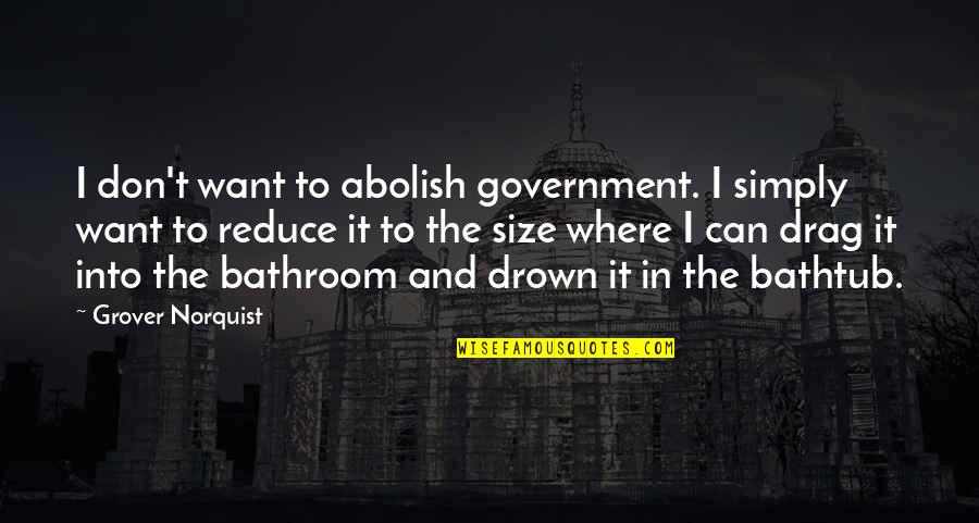 Bathtub Quotes By Grover Norquist: I don't want to abolish government. I simply