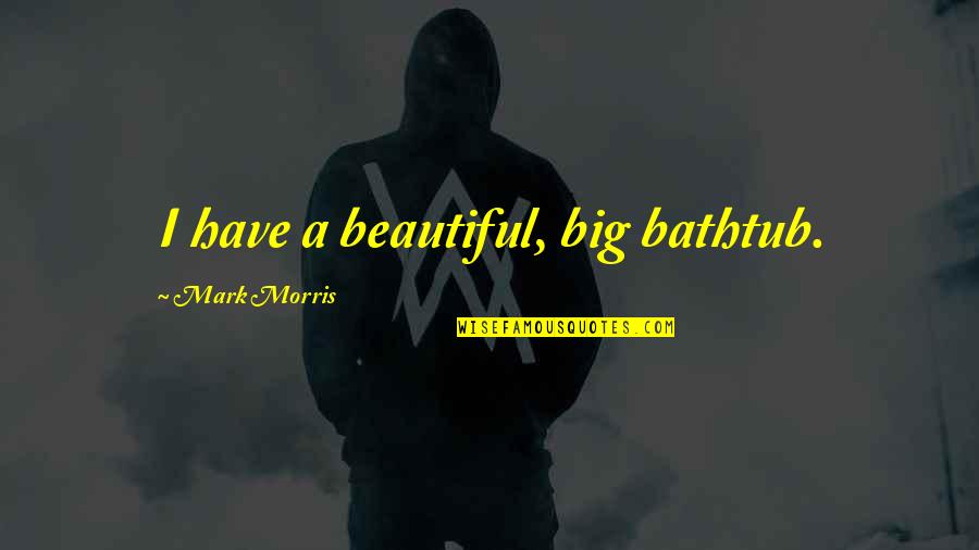 Bathtub Quotes By Mark Morris: I have a beautiful, big bathtub.