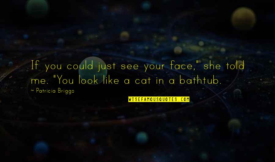 Bathtub Quotes By Patricia Briggs: If you could just see your face," she
