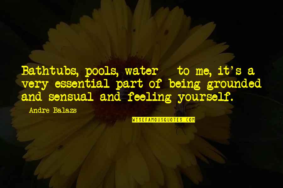 Bathtubs Quotes By Andre Balazs: Bathtubs, pools, water - to me, it's a