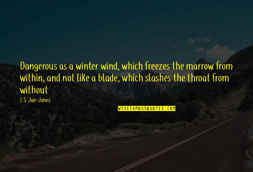 Bathysphere Smog Quotes By S. Jae-Jones: Dangerous as a winter wind, which freezes the Bathysphere Smog Quotes By S. Jae-Jones: Dangerous as a winter wind, which freezes the