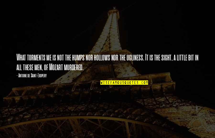 Batientes De Ventanas Quotes By Antoine De Saint-Exupery: What torments me is not the humps nor