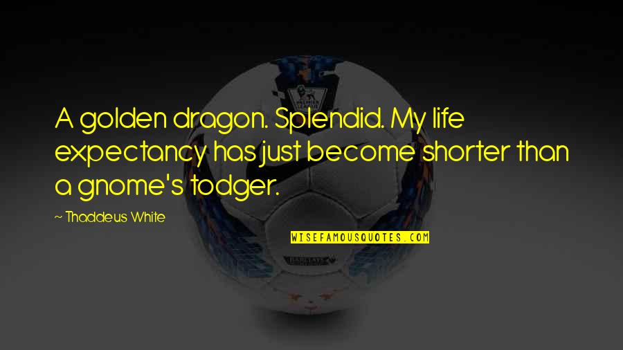 Bating Quotes By Thaddeus White: A golden dragon. Splendid. My life expectancy has Bating Quotes By Thaddeus White: A golden dragon. Splendid. My life expectancy has