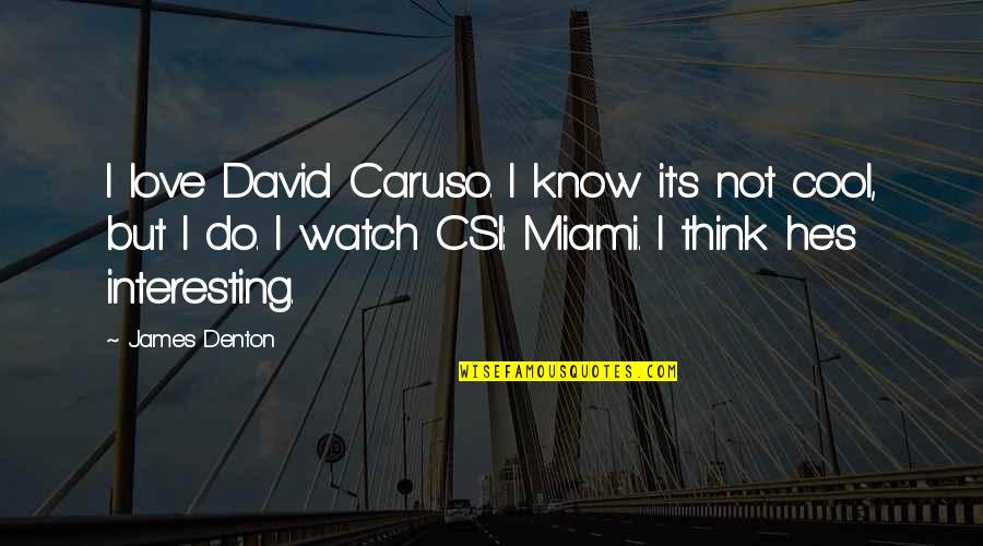 Batizado Anjos Quotes By James Denton: I love David Caruso. I know it's not Batizado Anjos Quotes By James Denton: I love David Caruso. I know it's not