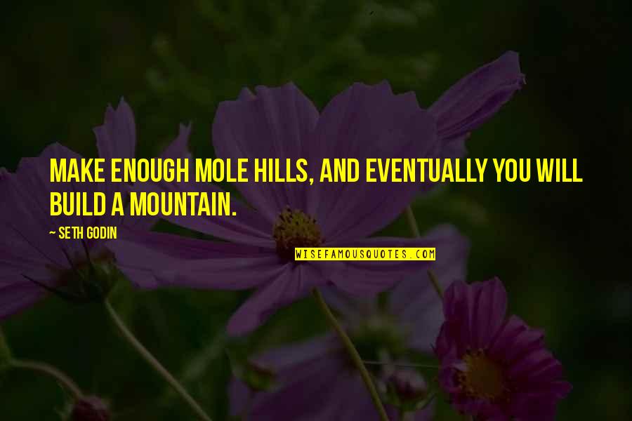Batmanghelidj Back Quotes By Seth Godin: Make enough mole hills, and eventually you will