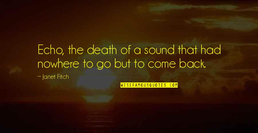 Batrider Quotes By Janet Fitch: Echo, the death of a sound that had