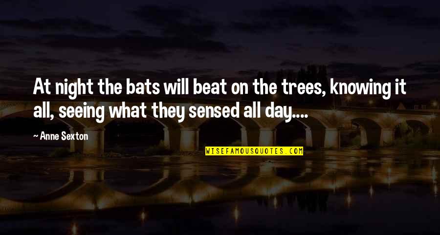 Bats Quotes By Anne Sexton: At night the bats will beat on the