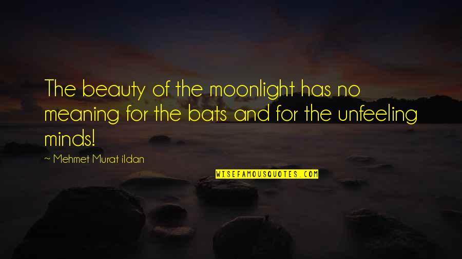 Bats Quotes By Mehmet Murat Ildan: The beauty of the moonlight has no meaning