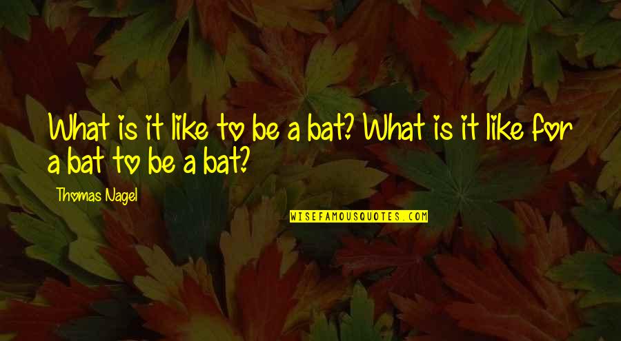 Bats Quotes By Thomas Nagel: What is it like to be a bat?