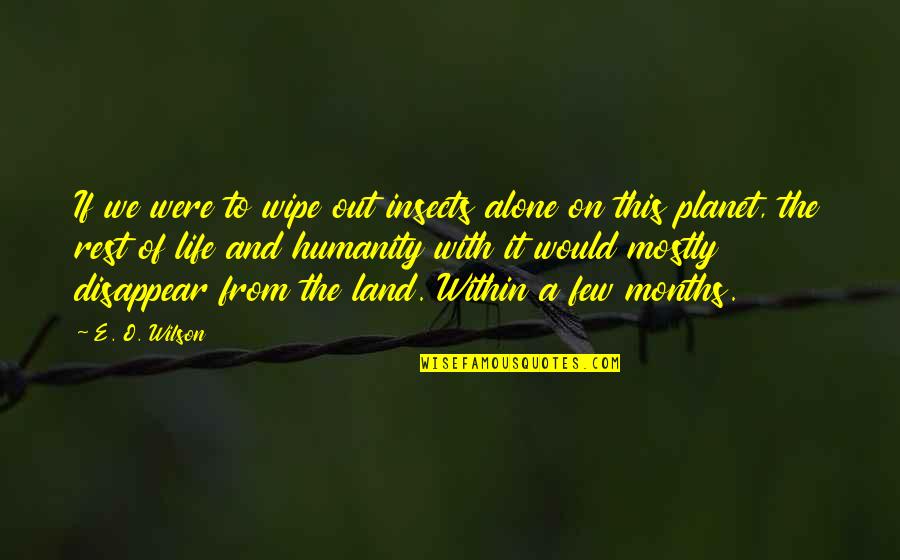 Battar Swami Quotes By E. O. Wilson: If we were to wipe out insects alone Battar Swami Quotes By E. O. Wilson: If we were to wipe out insects alone