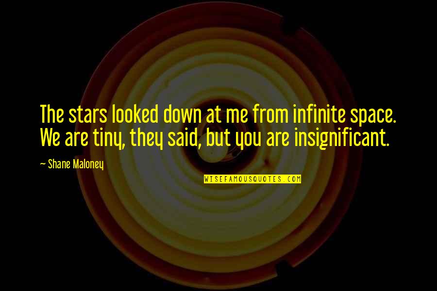 Batteriesasap Quotes By Shane Maloney: The stars looked down at me from infinite Batteriesasap Quotes By Shane Maloney: The stars looked down at me from infinite