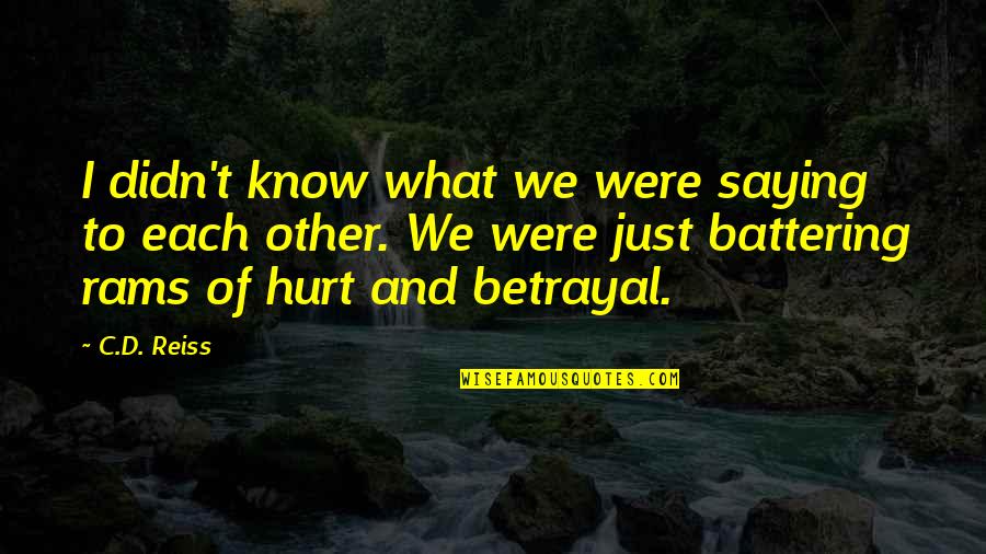 Battering Quotes By C.D. Reiss: I didn't know what we were saying to