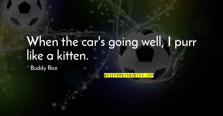 Batter's Box Quotes By Buddy Rice: When the car's going well, I purr like