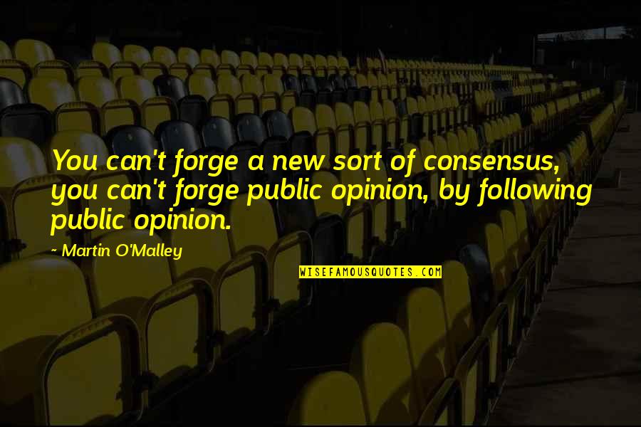 Battlefied Quotes By Martin O'Malley: You can't forge a new sort of consensus, Battlefied Quotes By Martin O'Malley: You can't forge a new sort of consensus,