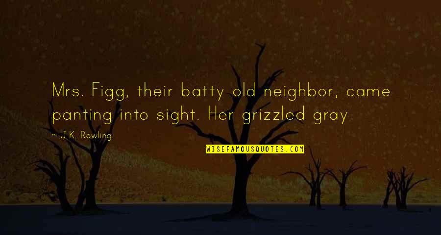 Batty Quotes By J.K. Rowling: Mrs. Figg, their batty old neighbor, came panting