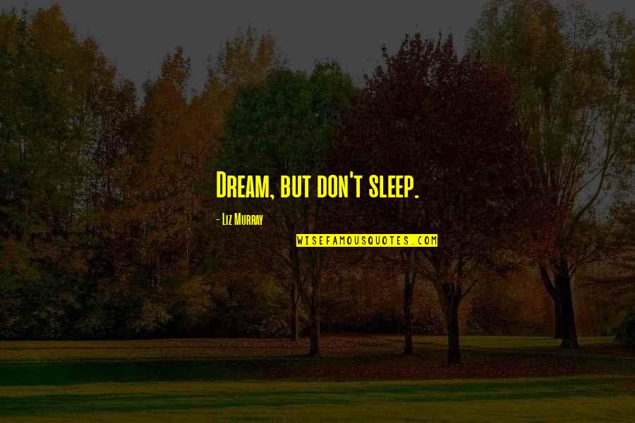 Batuhan Sevimo Quotes By Liz Murray: Dream, but don't sleep.