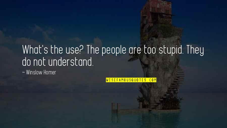 Baublebar Quotes By Winslow Homer: What's the use? The people are too stupid.