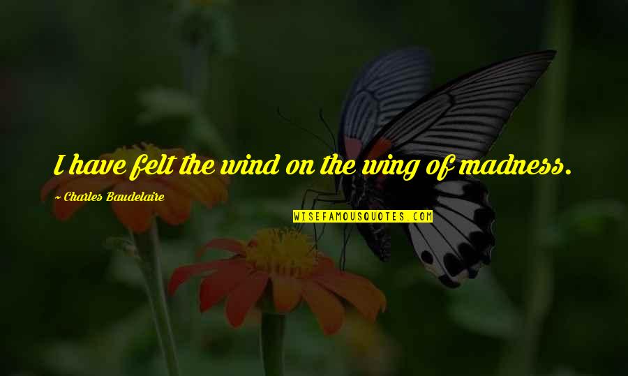 Baudelaire Quotes By Charles Baudelaire: I have felt the wind on the wing