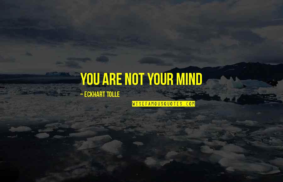 Baudoin And Lange Quotes By Eckhart Tolle: You are not your mind Baudoin And Lange Quotes By Eckhart Tolle: You are not your mind