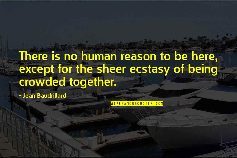 Baudrillard's Quotes By Jean Baudrillard: There is no human reason to be here,