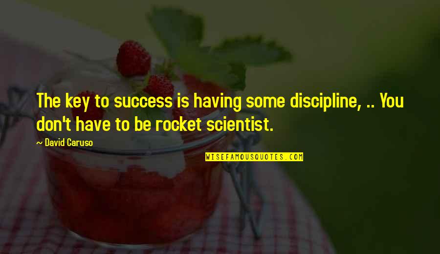 Baunach Hans Quotes By David Caruso: The key to success is having some discipline, Baunach Hans Quotes By David Caruso: The key to success is having some discipline,
