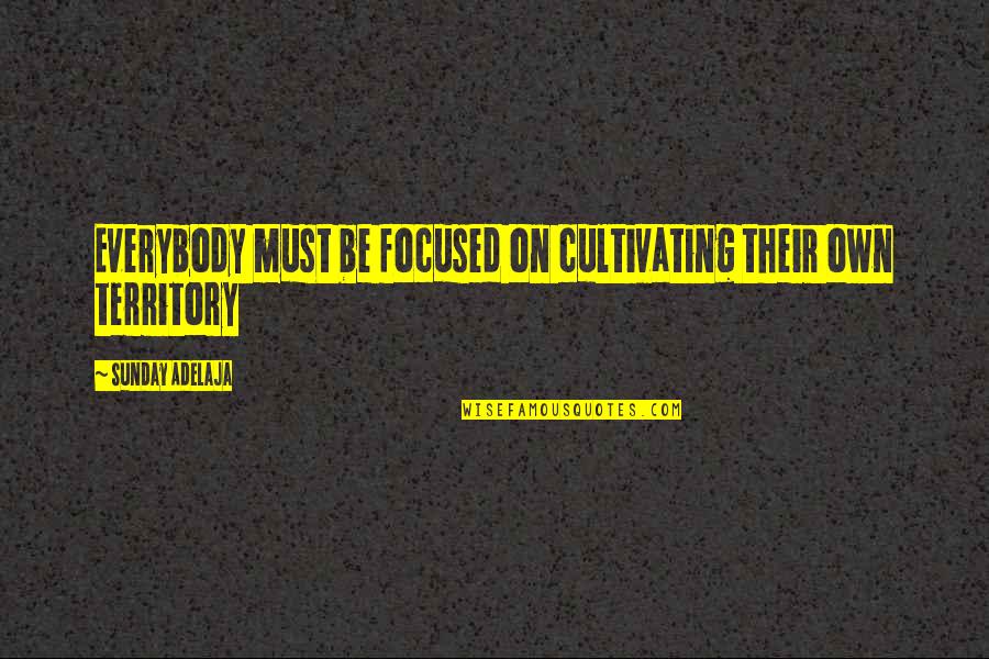 Baur Au Quotes By Sunday Adelaja: Everybody must be focused on cultivating their own