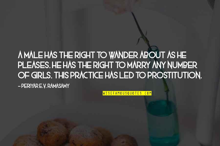 Bav Quotes By Periyar E.V. Ramasamy: A male has the right to wander about Bav Quotes By Periyar E.V. Ramasamy: A male has the right to wander about
