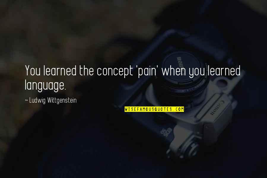 Bava Quotes By Ludwig Wittgenstein: You learned the concept 'pain' when you learned