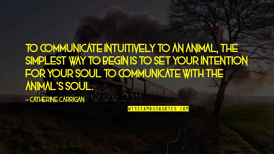 Bavarians Upsl Quotes By Catherine Carrigan: To communicate intuitively to an animal, the simplest Bavarians Upsl Quotes By Catherine Carrigan: To communicate intuitively to an animal, the simplest