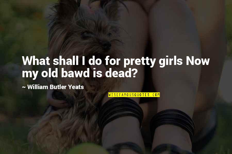 Bawd Quotes By William Butler Yeats: What shall I do for pretty girls Now