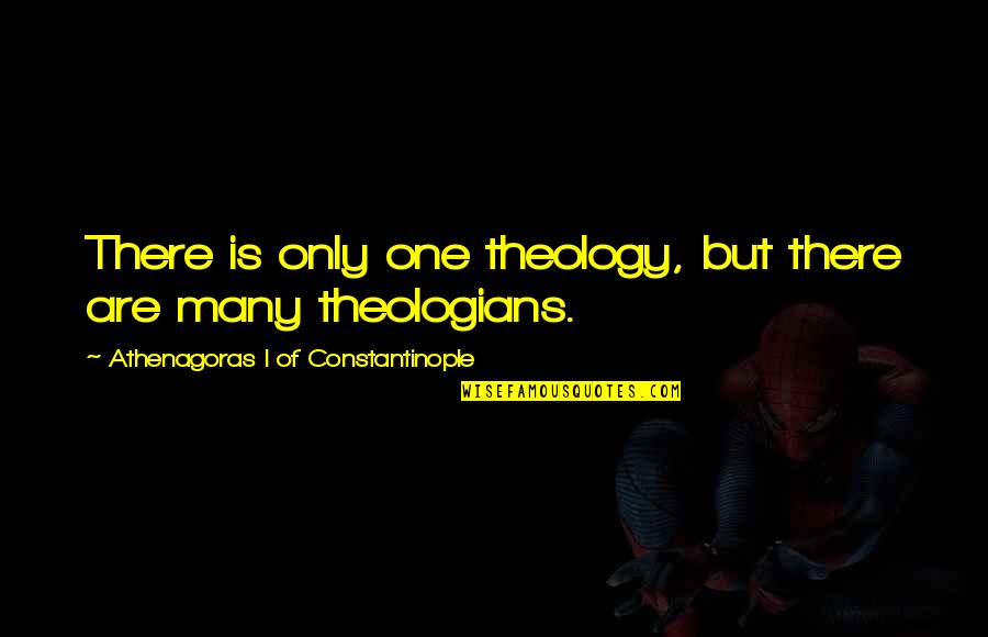 Bawidamann Quotes By Athenagoras I Of Constantinople: There is only one theology, but there are Bawidamann Quotes By Athenagoras I Of Constantinople: There is only one theology, but there are