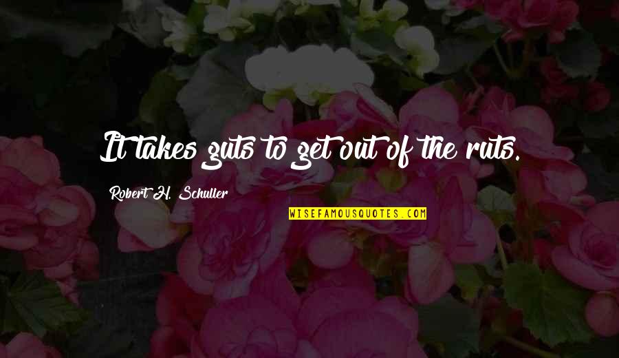 Bayachp024a Quotes By Robert H. Schuller: It takes guts to get out of the