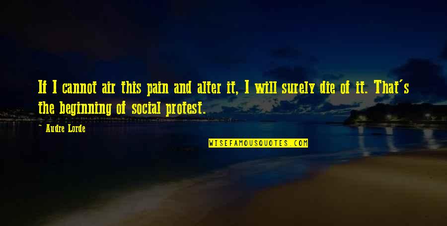 Bayaran Gaji Quotes By Audre Lorde: If I cannot air this pain and alter