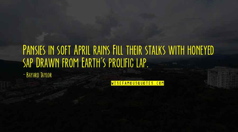 Bayard Taylor Quotes By Bayard Taylor: Pansies in soft April rains Fill their stalks