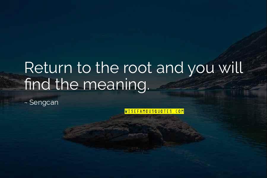 Bayes Formula Quotes By Sengcan: Return to the root and you will find