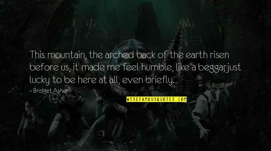 Bayhass Quotes By Bridget Asher: This mountain, the arched back of the earth Bayhass Quotes By Bridget Asher: This mountain, the arched back of the earth