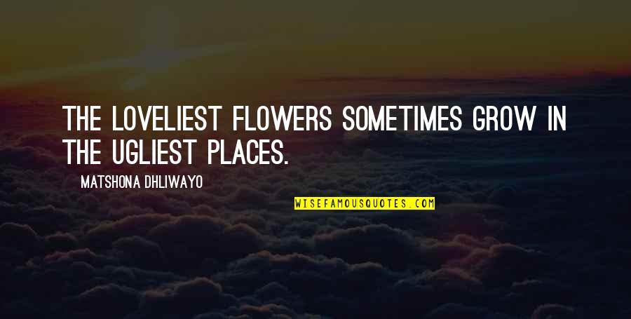 Bayn Stock Quote Quotes By Matshona Dhliwayo: The loveliest flowers sometimes grow in the ugliest Bayn Stock Quote Quotes By Matshona Dhliwayo: The loveliest flowers sometimes grow in the ugliest