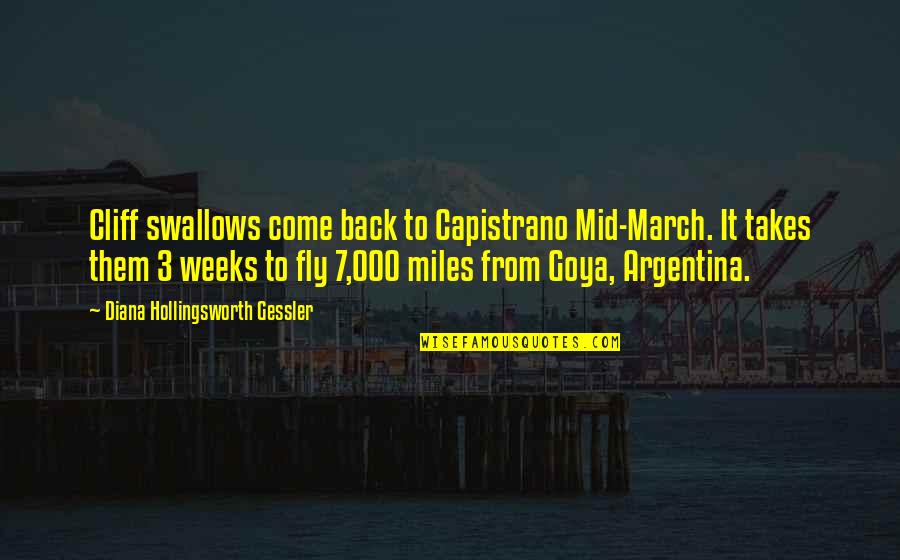 Bayonetas Primera Quotes By Diana Hollingsworth Gessler: Cliff swallows come back to Capistrano Mid-March. It Bayonetas Primera Quotes By Diana Hollingsworth Gessler: Cliff swallows come back to Capistrano Mid-March. It