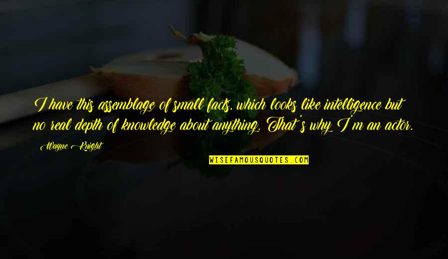 Bayoushooter Quotes By Wayne Knight: I have this assemblage of small facts, which Bayoushooter Quotes By Wayne Knight: I have this assemblage of small facts, which