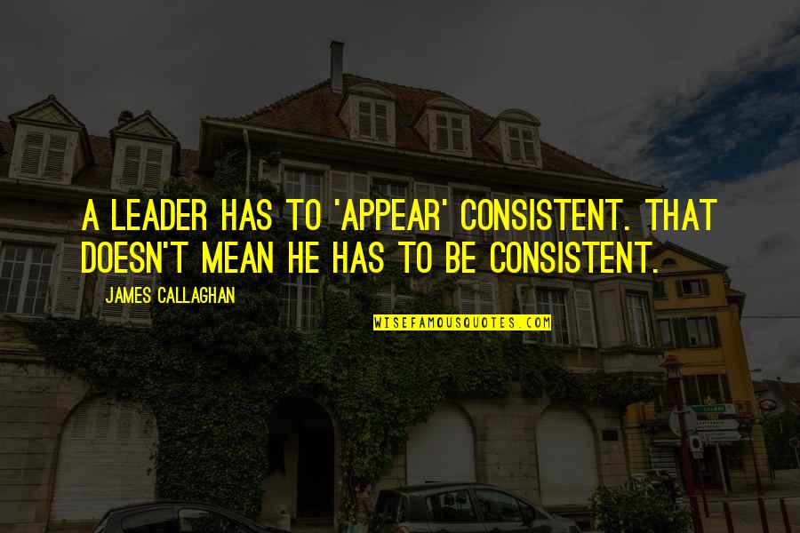 Baz Toy Story Quotes By James Callaghan: A leader has to 'appear' consistent. That doesn't