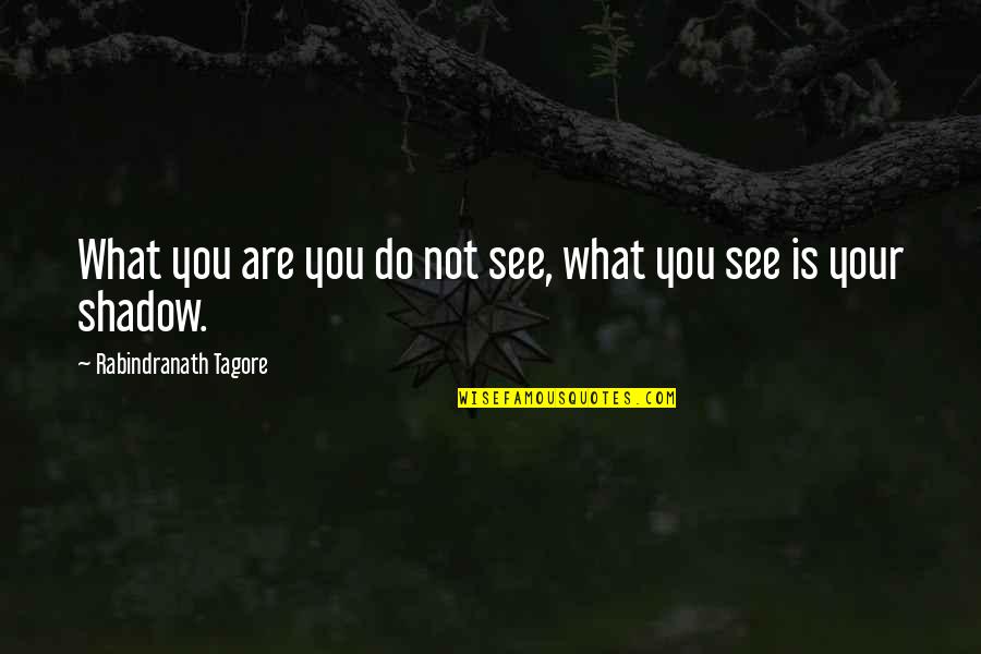 Bazen Tasmajdan Quotes By Rabindranath Tagore: What you are you do not see, what