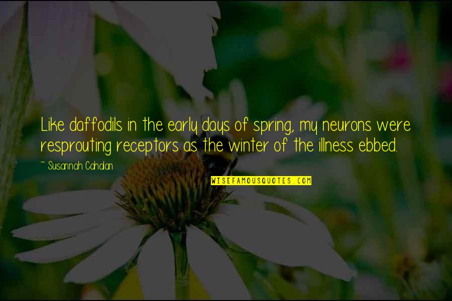 Bcrk Recreation Quotes By Susannah Cahalan: Like daffodils in the early days of spring,