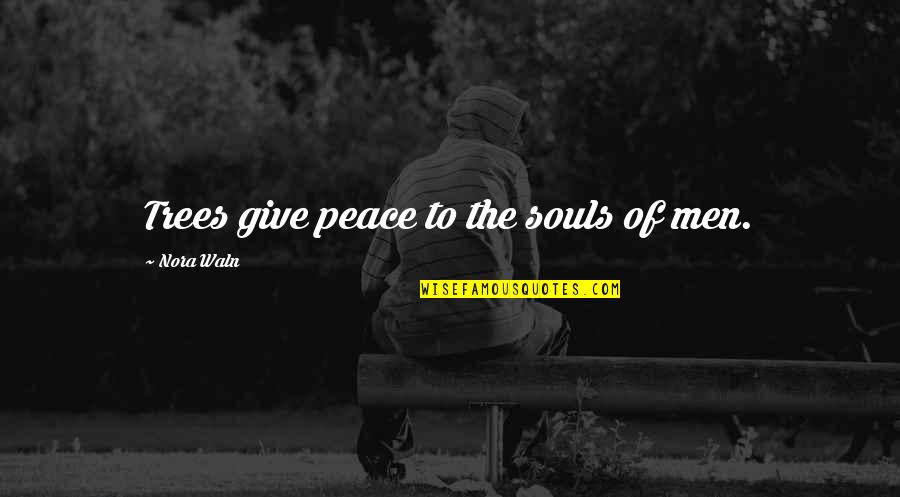 Bcts Admissions Quotes By Nora Waln: Trees give peace to the souls of men. Bcts Admissions Quotes By Nora Waln: Trees give peace to the souls of men.