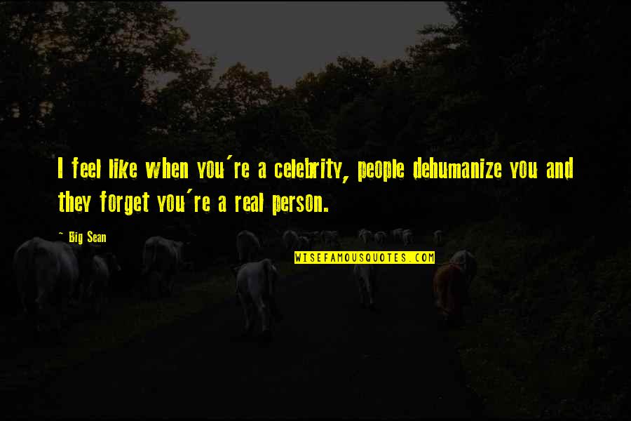 Be A Big Person Quotes By Big Sean: I feel like when you're a celebrity, people