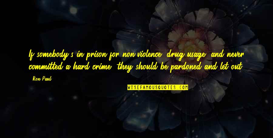 Be A Drug Quotes By Ron Paul: If somebody's in prison for non-violence, drug usage,